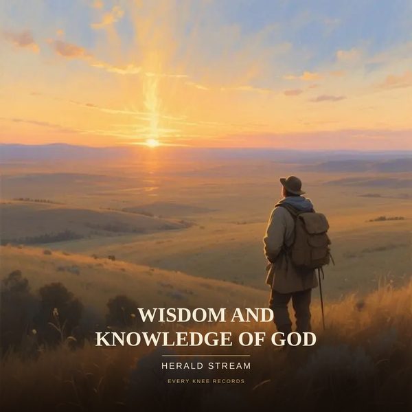 Cover art for Wisdom and Knowledge of God